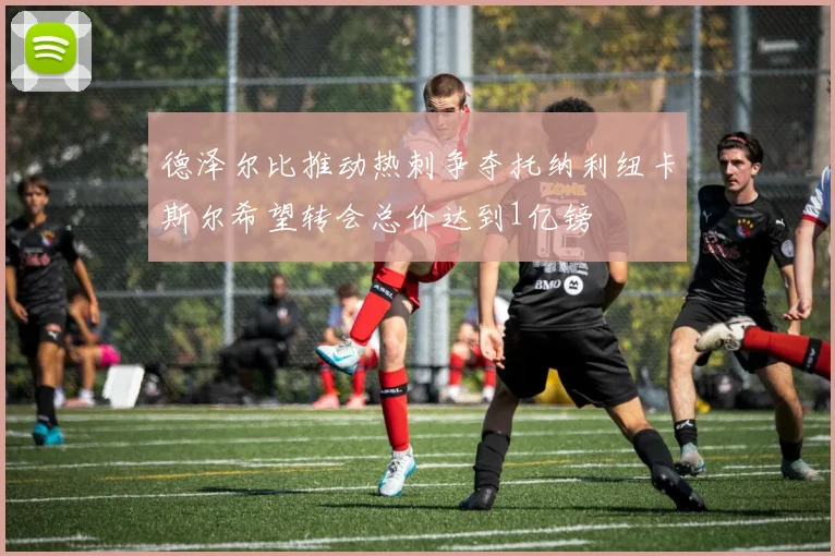 德泽尔比推动热刺争夺托纳利纽卡斯尔希望转会总价达到1亿镑