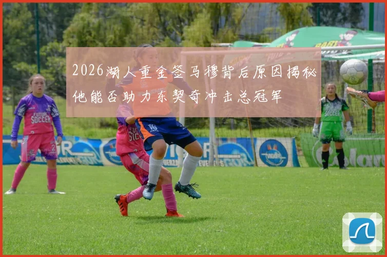 2026湖人重金签马穆背后原因揭秘他能否助力东契奇冲击总冠军
