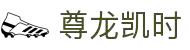 尊龙凯时·人生就是搏官方网站平台入口